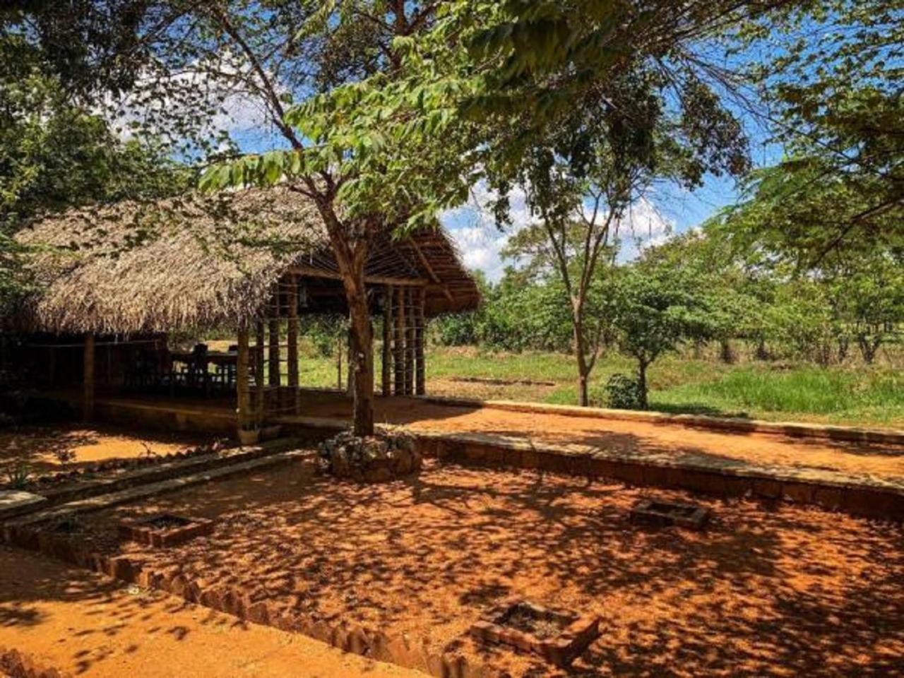 Castle Rock Sigiriya Hotell Kibissa Exteriör bild