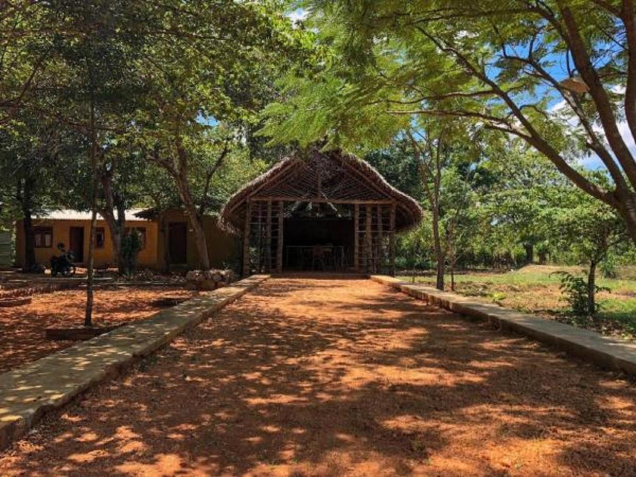 Castle Rock Sigiriya Hotell Kibissa Exteriör bild